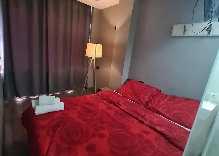 Driti Albania Тирана
